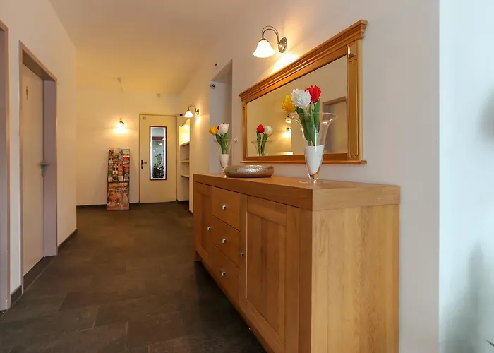 Otel Hotel Drielanden 3*